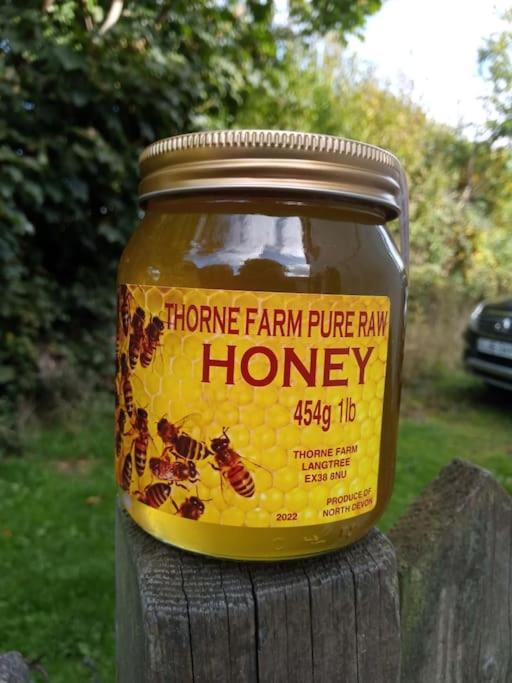 Thorne Shippon Langtree